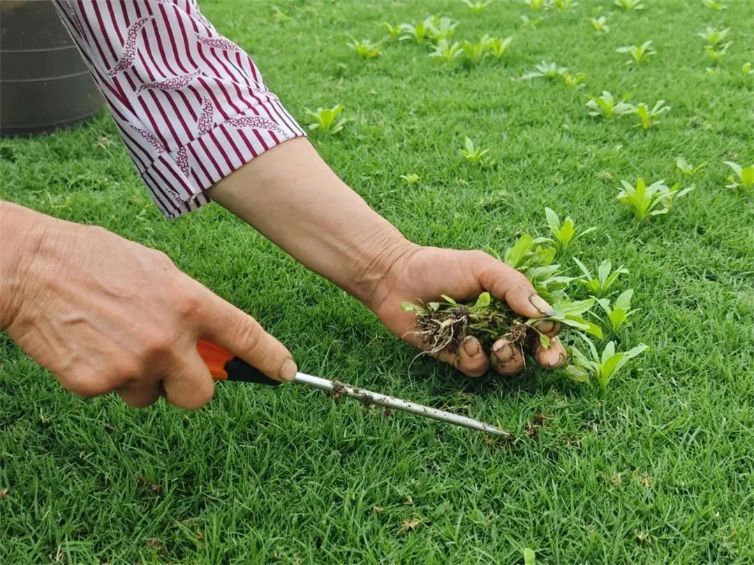 萬豪集團匠心助力，6月齊聚重慶龍興足球場為國足吶喊助威！